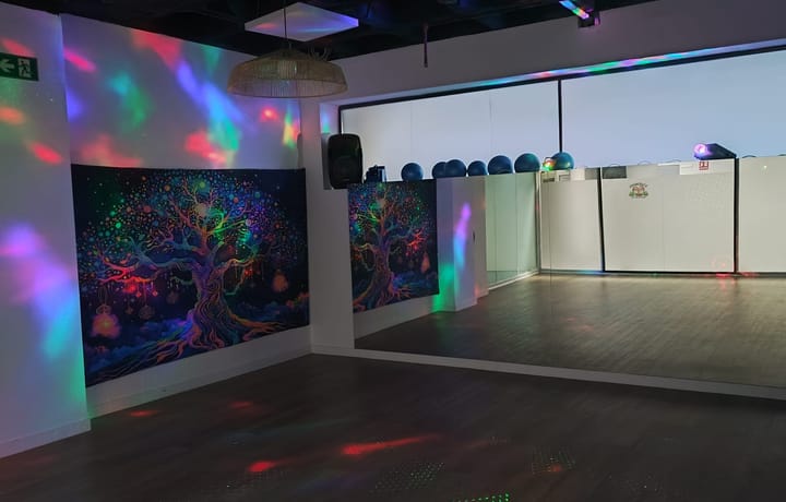 Mini disco